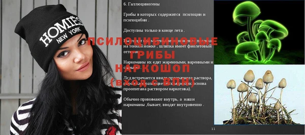 прущая мука Белокуриха