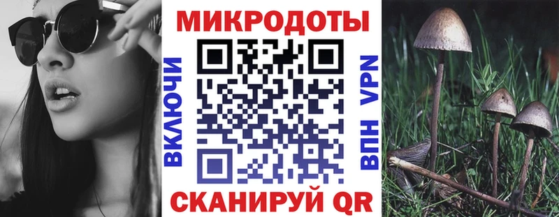 Псилоцибиновые грибы MAGIC MUSHROOMS  гидра зеркало  Выкса 